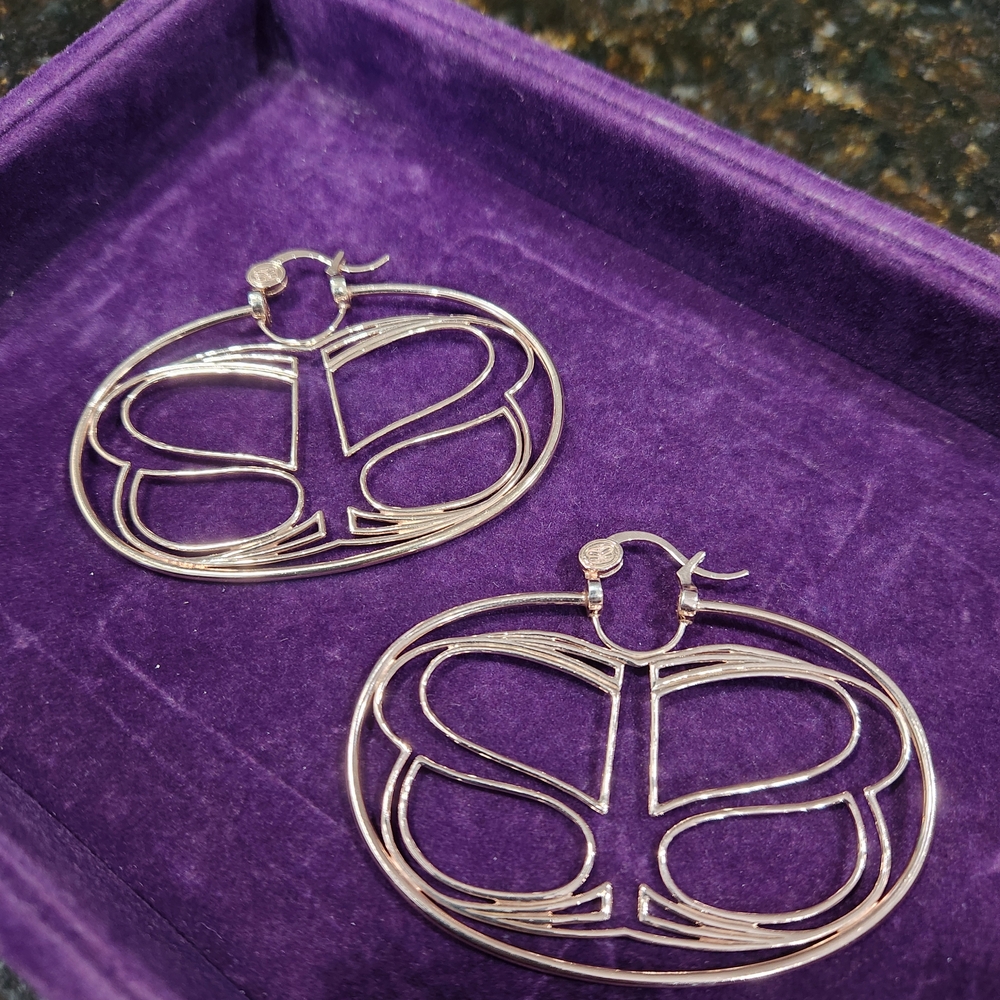 Stylish Silver Oval Earrings